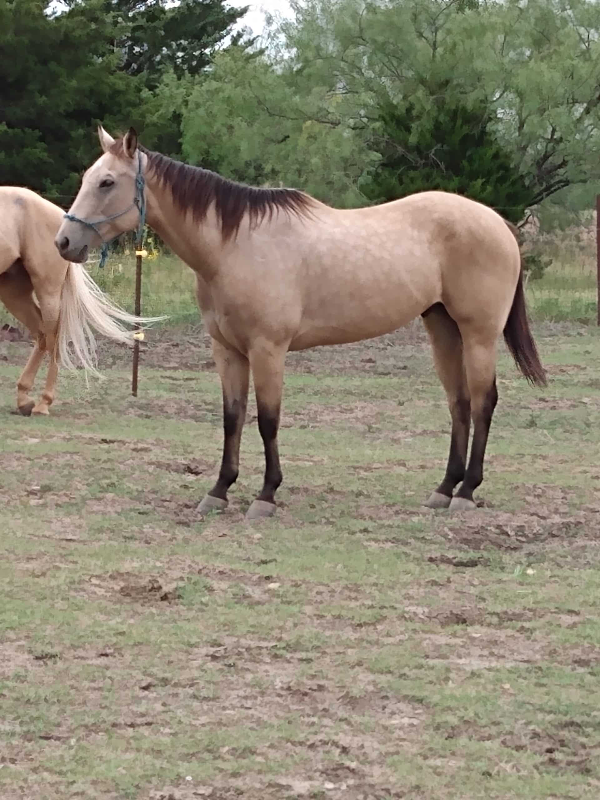 IMG_20231012_124836702-scaled.jpg_730_img-2.jpg Hercules 1.27.24