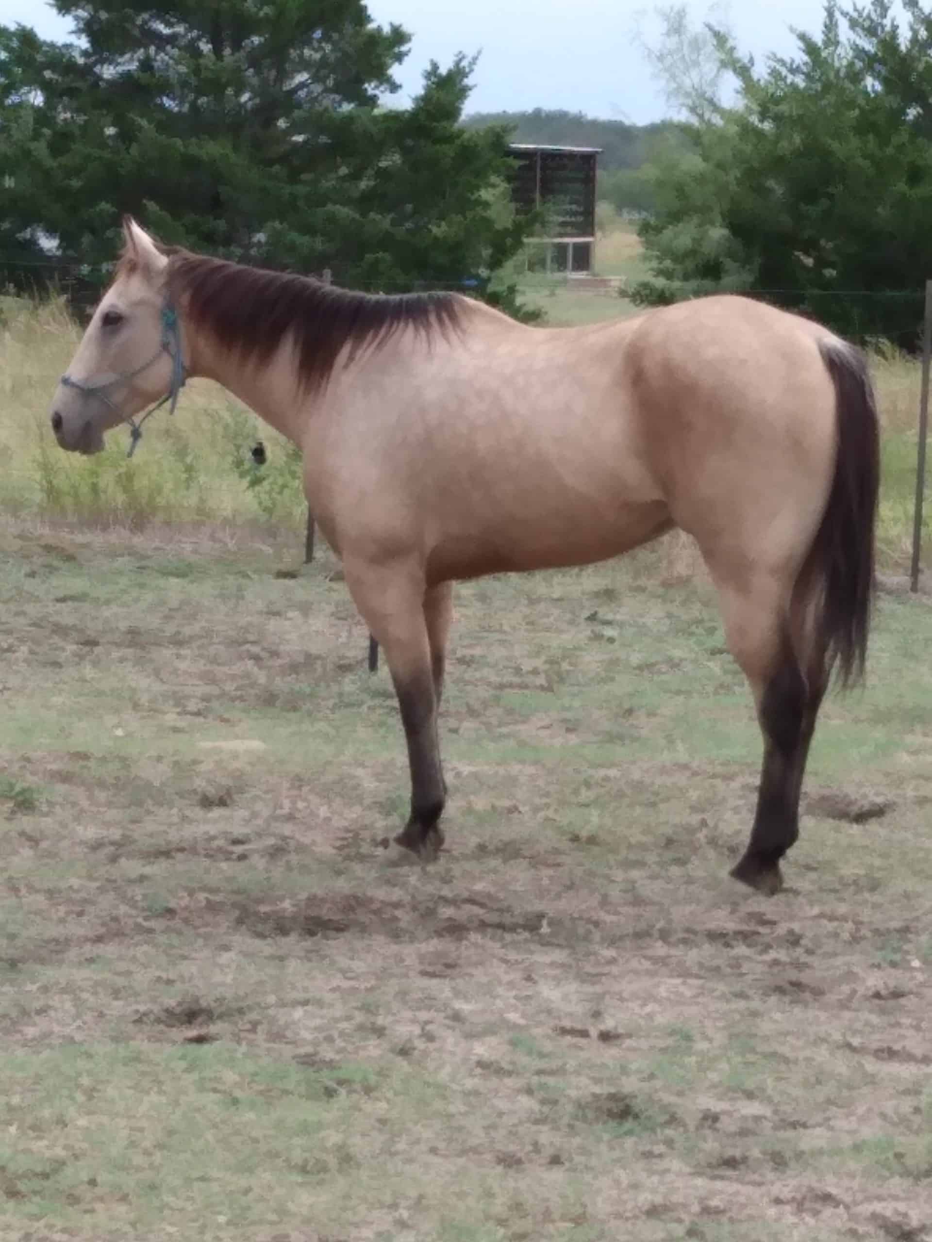 IMG_20231012_125107929-scaled.jpg_736_img-3.jpg Hercules 1.27.24